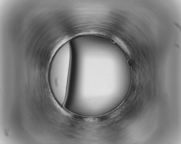 X0000094220805200710260952