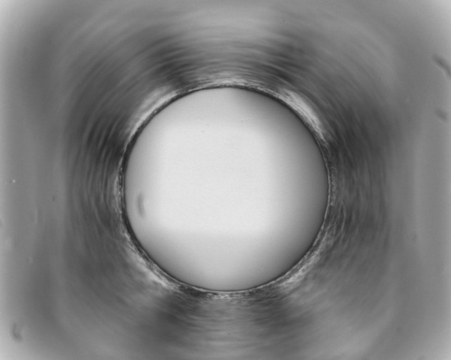X0000094220806200710260952