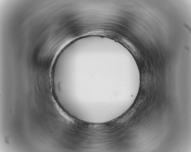 X0000094220808200710260952