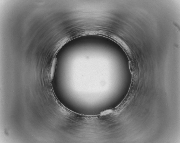 X0000094220809200710260952