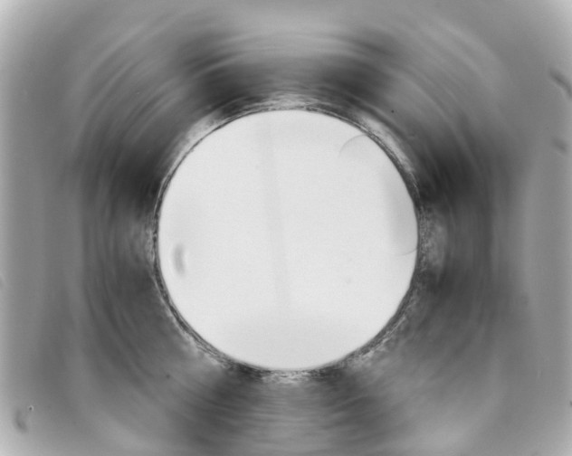 X0000094220810200710260952