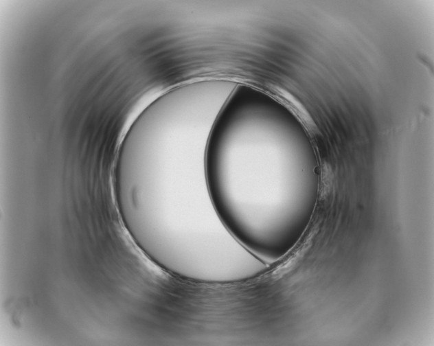 X0000094220812200710260952