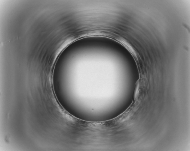 X0000094220813200710260952
