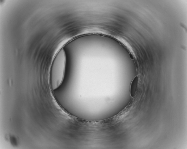 X0000094220815200710260952