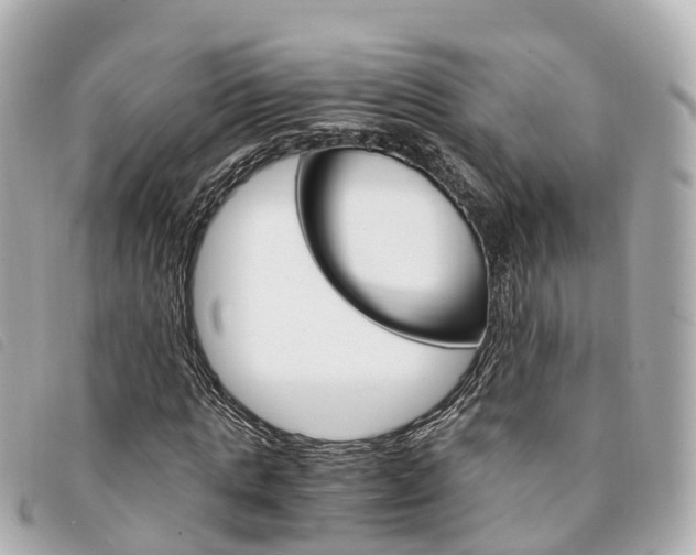 X0000094220821200710260951
