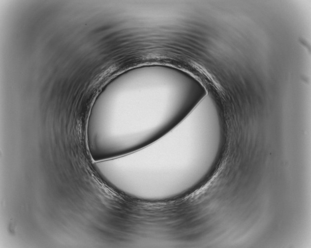 X0000094220825200710260951