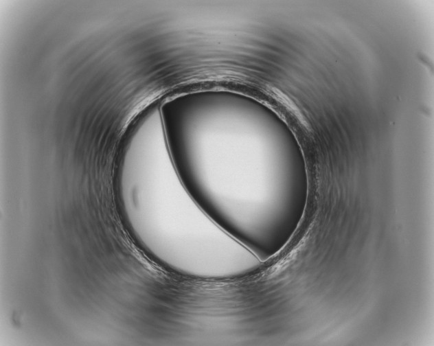 X0000094220826200710260951
