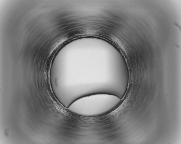 X0000094220827200710260951