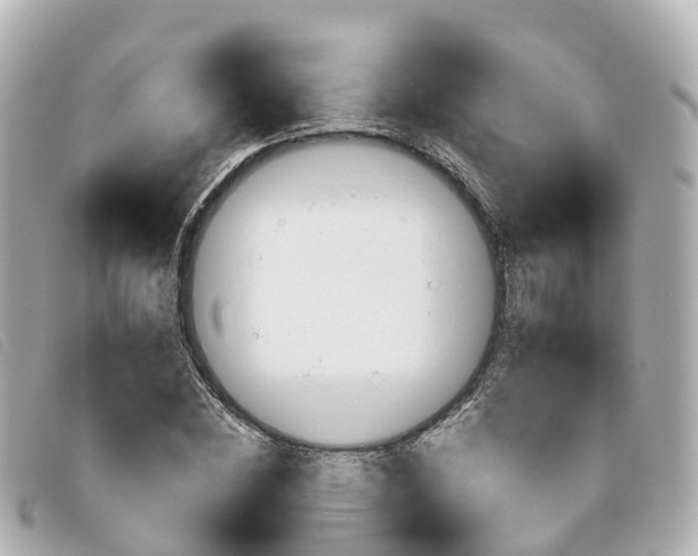 X0000094220828200710260952