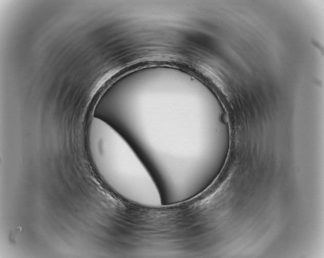 X0000094220829200710260952