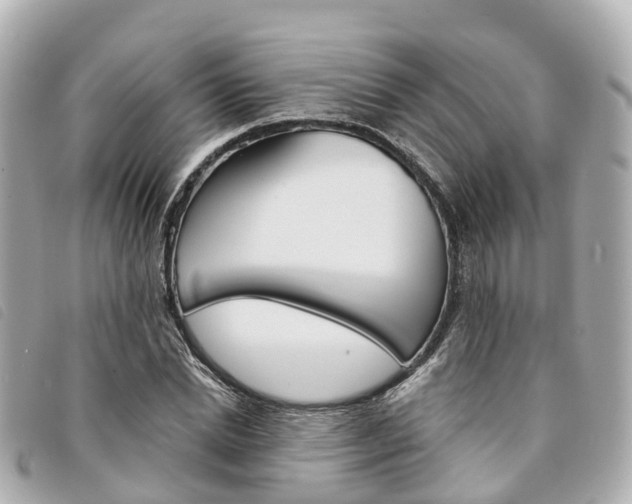 X0000094220830200710260952