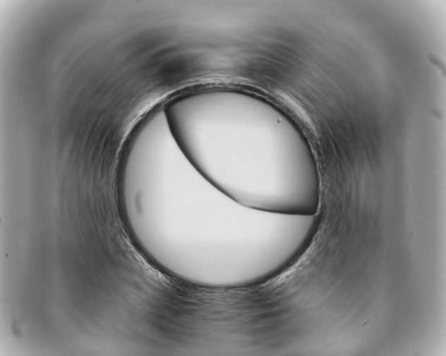 X0000094220831200710260952