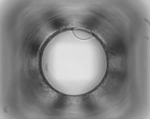 X0000094220832200710260952
