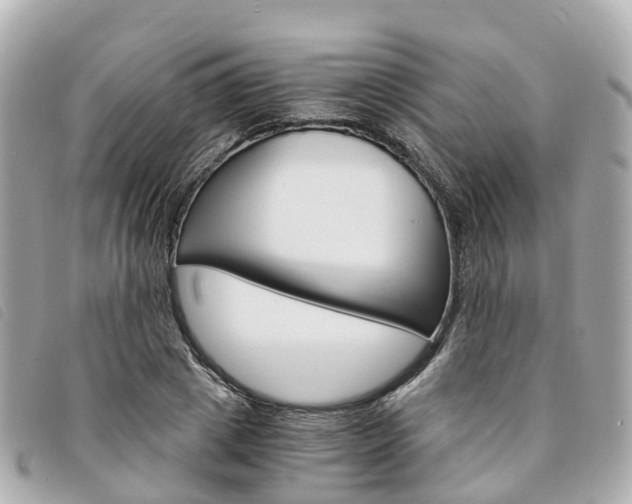 X0000094220833200710260952