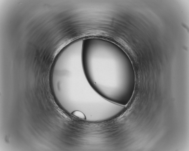 X0000094220834200710260952