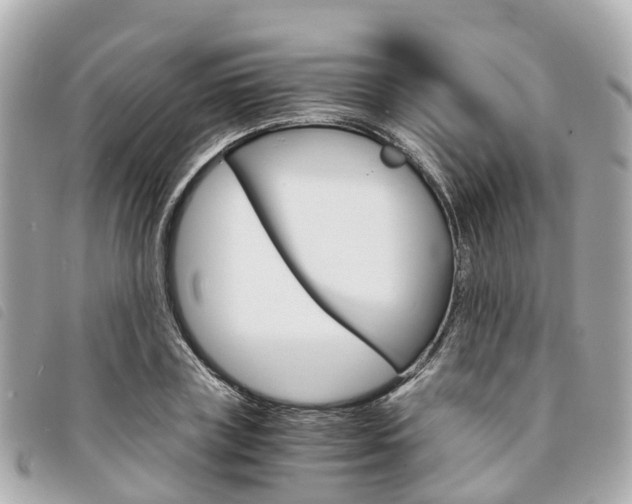 X0000094220835200710260952
