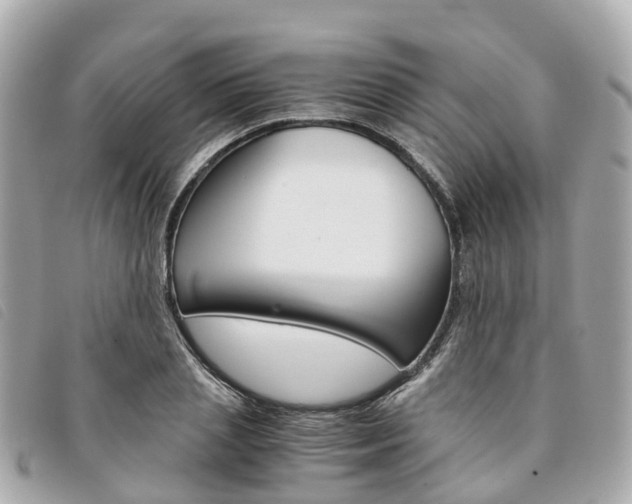 X0000094220837200710260952