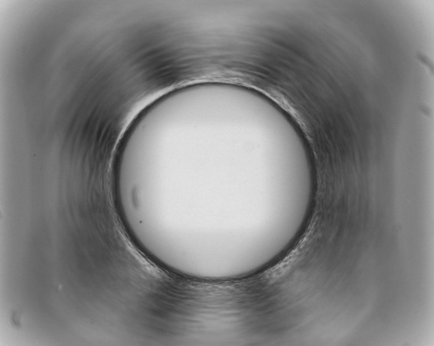 X0000094220838200710260952