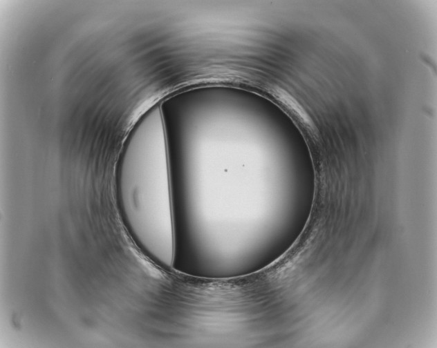 X0000094220842200710260952