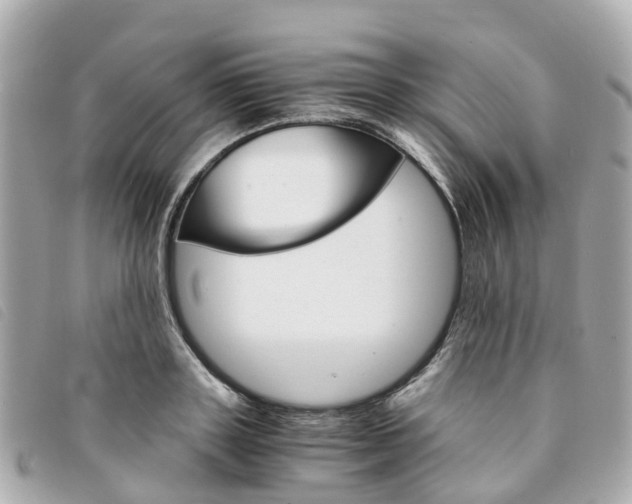 X0000094220843200710260952