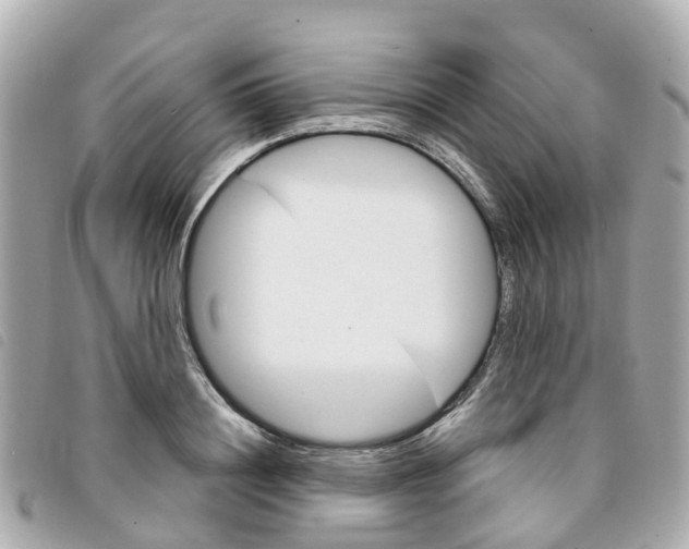 X0000094220844200710260952