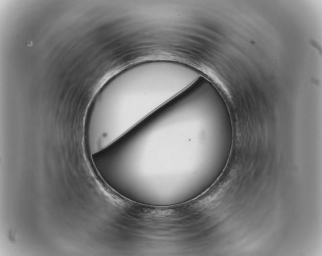 X0000094220845200710260952