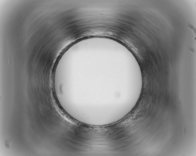 X0000094220848200710260952