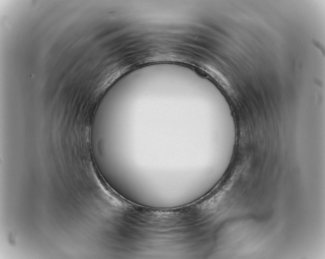 X0000094220849200710260952