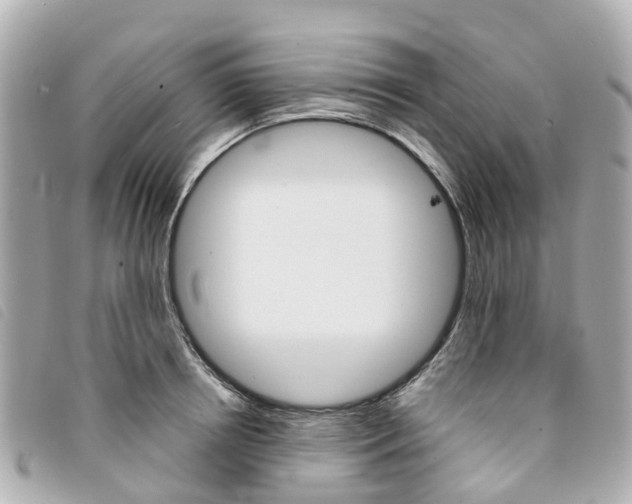 X0000094220850200710260952