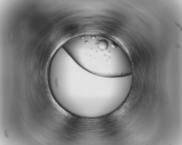 X0000094220851200710260952