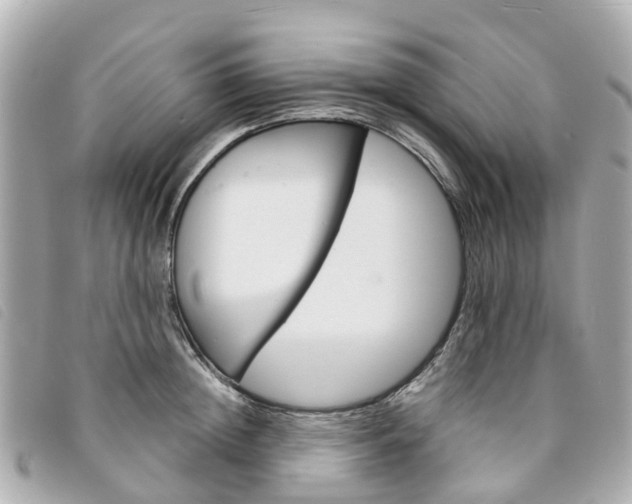 X0000094220852200710260952