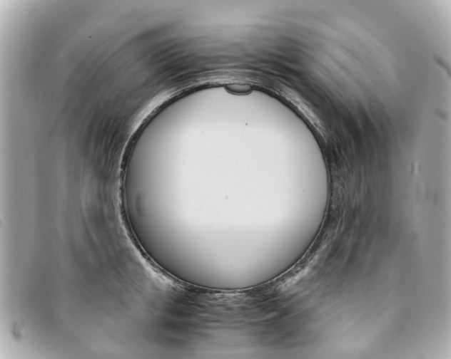 X0000094220853200710260952