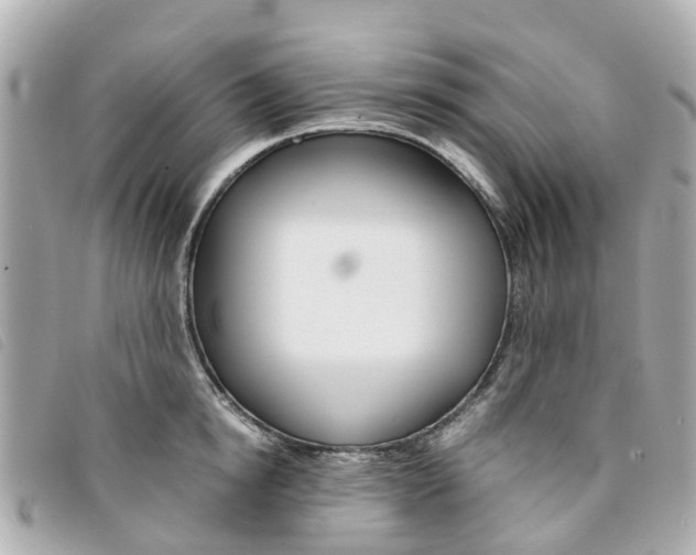 X0000094220854200710260952