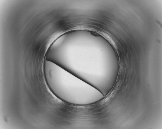 X0000094220855200710260952