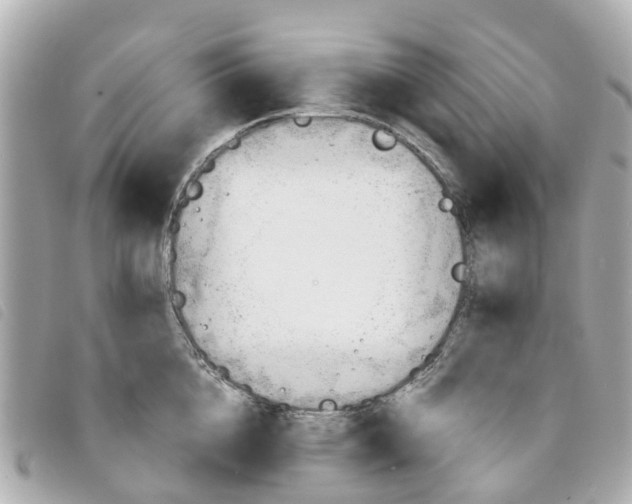 X0000094220856200710260952