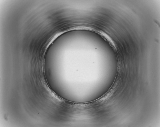 X0000094220860200710260952