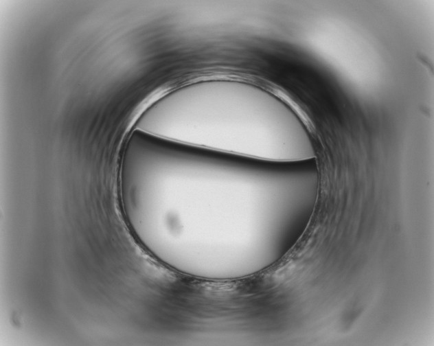 X0000094220861200710260952