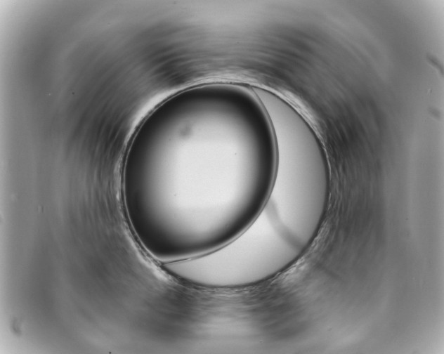 X0000094220862200710260952