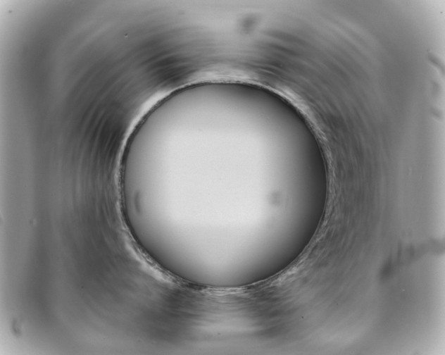 X0000094220864200710260952