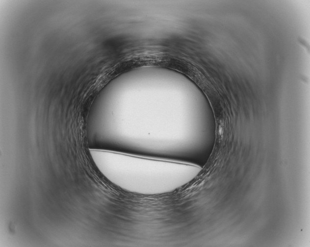 X0000094220867200710260951