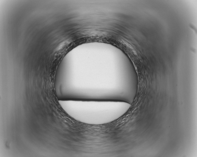 X0000094220869200710260951