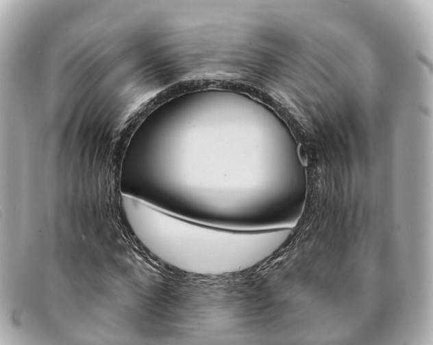 X0000094220872200710260951