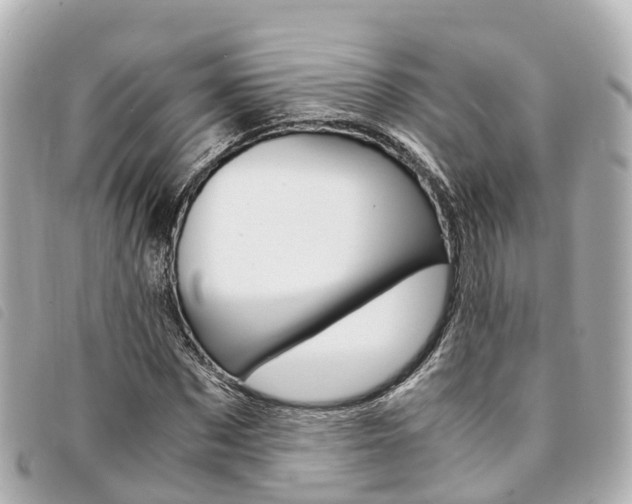 X0000094220873200710260951