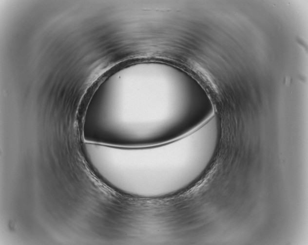 X0000094220876200710260951