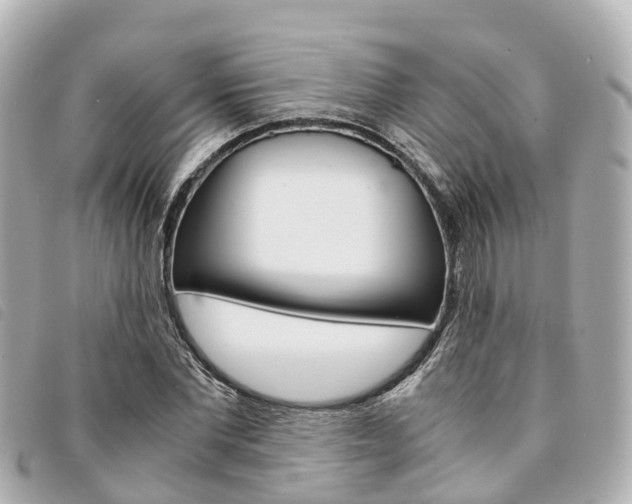 X0000094220877200710260951