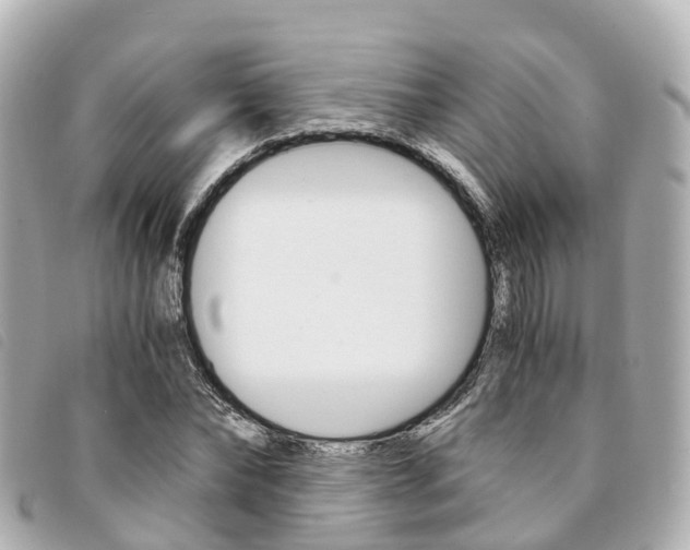 X0000094220878200710260951