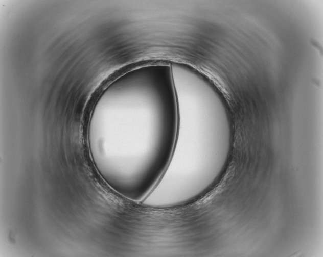 X0000094220880200710260951