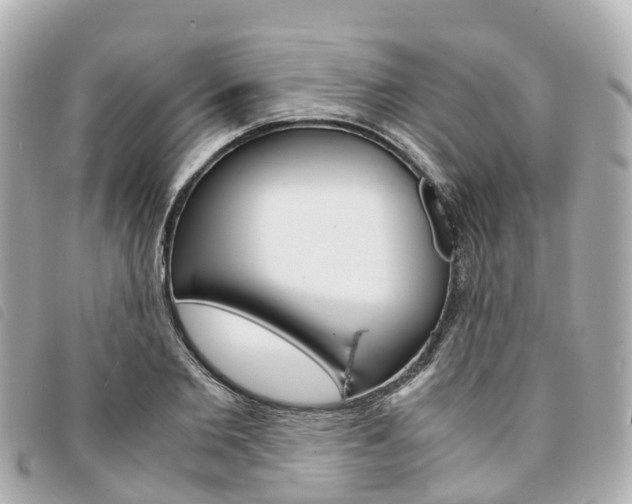 X0000094220885200710260951