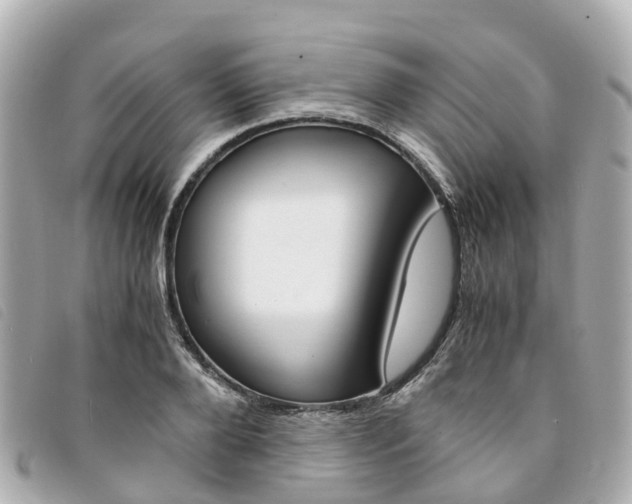 X0000094220888200710260951