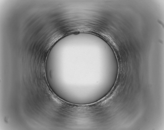 X0000094220889200710260951